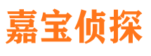 眉山市私家侦探